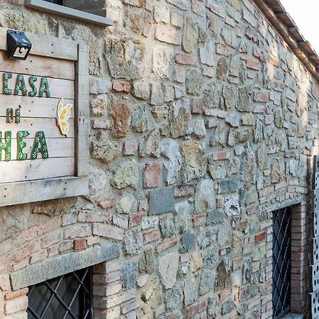 La Casa Di Thea - Flo Apartments Impruneta Buitenkant foto